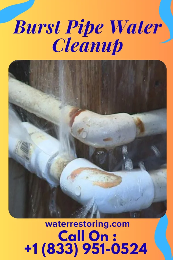 Burst Pipe Water Cleanup in Fortescue, MO