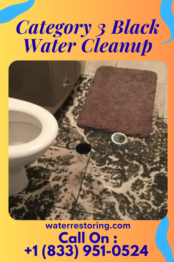 Category 3 Black Water Cleanup in Fortescue, MO