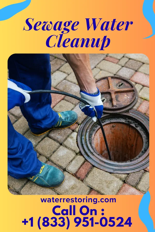 Sewage Water Cleanup in Fortescue, MO
